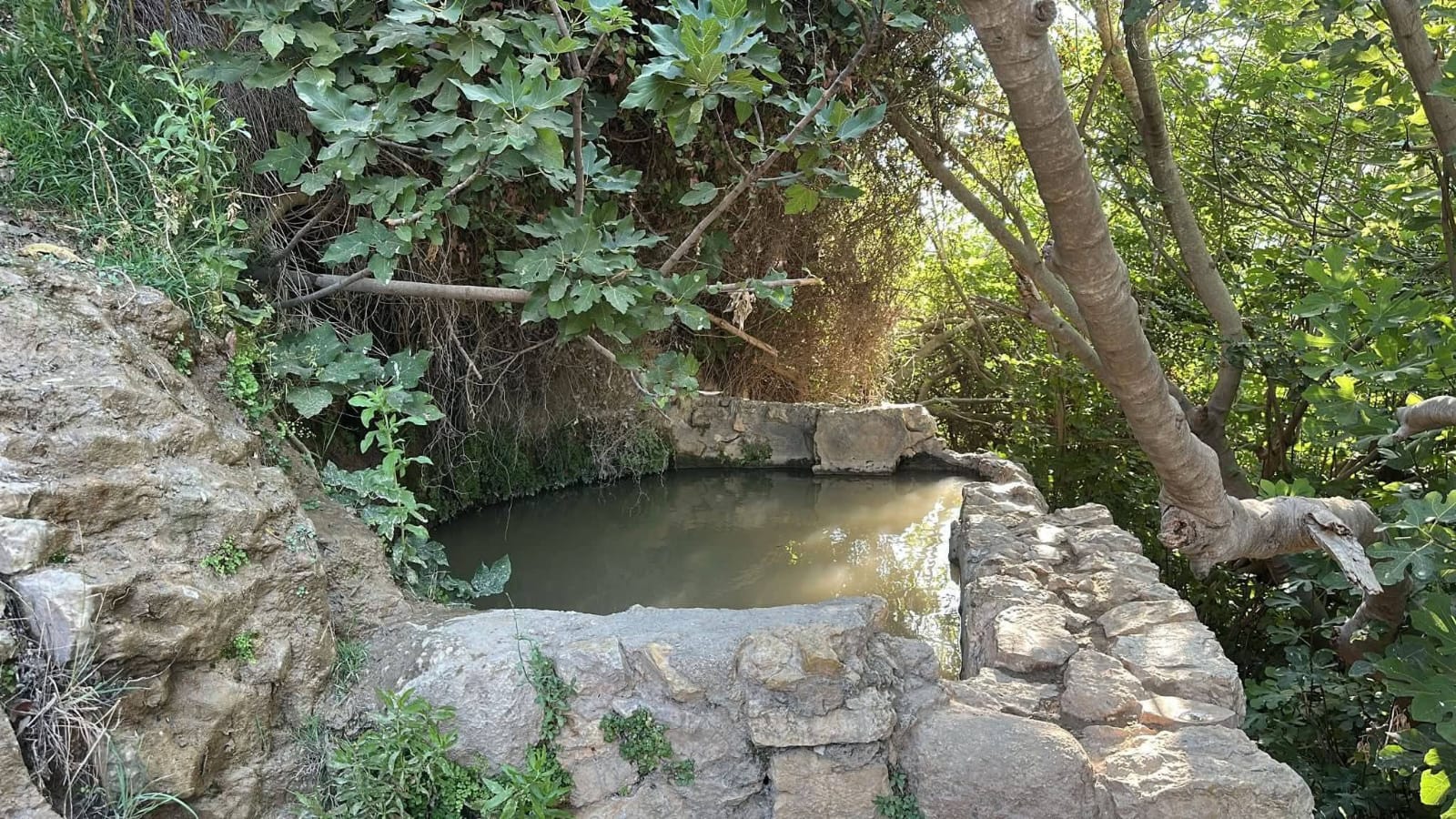 صور من منطقة عين ناموس المحاذية لبلدة قطنة شمال غرب القدس وقد تم منع الأهالي من الدخول اليها عندما تم وضع جدار الفصل العنصري ومصادرتها .